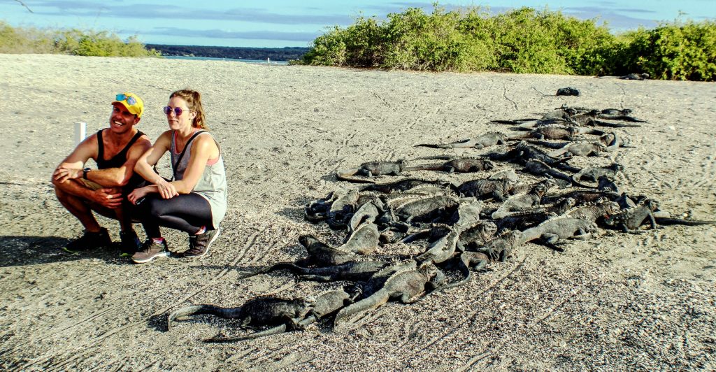 Islas Galápagos Tierra Verde